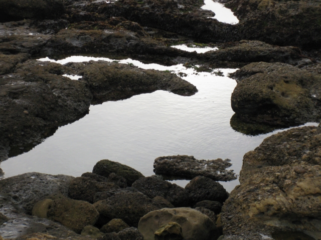 tidepool