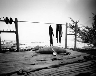 Wetsuits, pinholga image