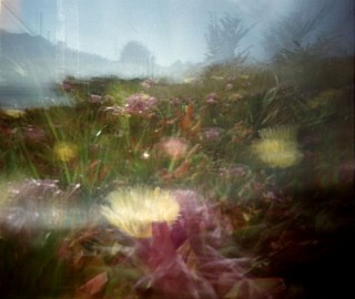 pinholga image