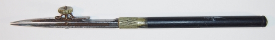 Ruler Pen from 1894