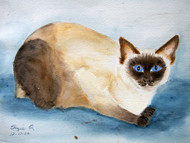 Siamese cat